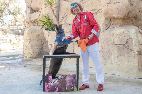 tony rei in friguia magic life club